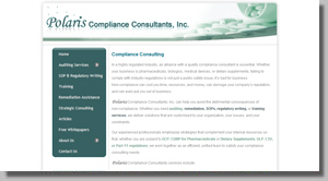 Compliance Consulting Company Performing Compliance Audits